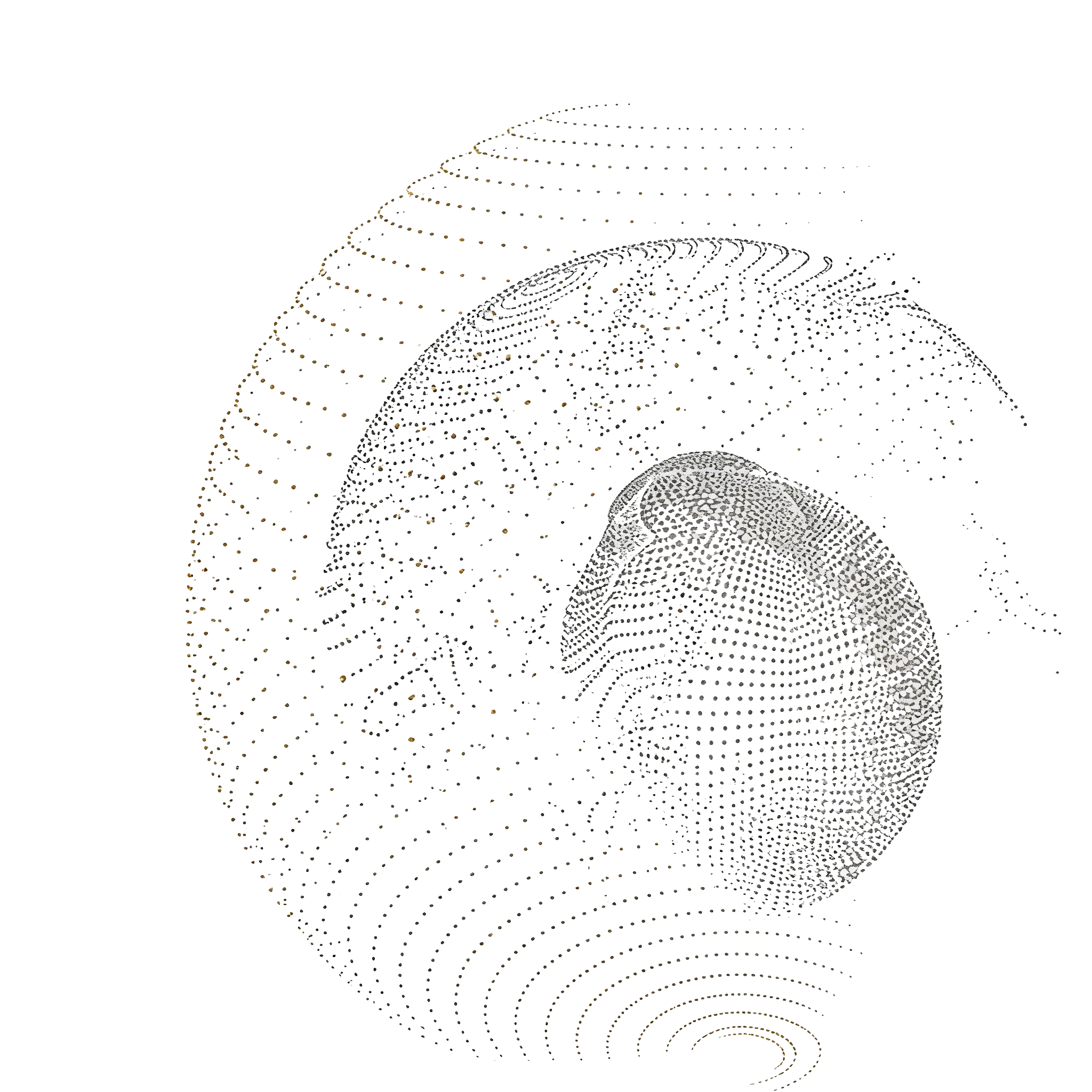 Global Network